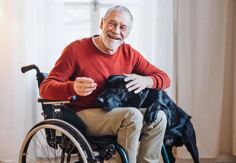 Kerekesszékes idős úr a kutyáját simogatja